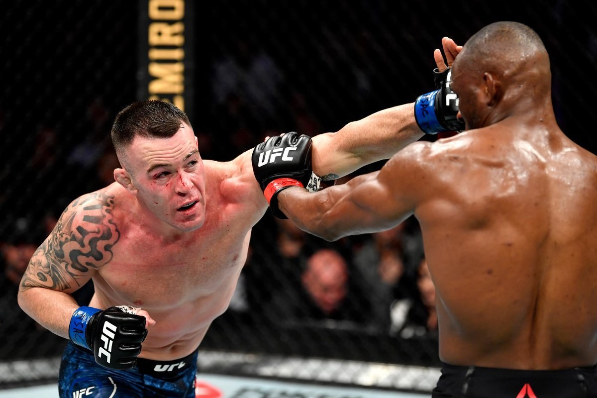 Colby Covington Photos Porn