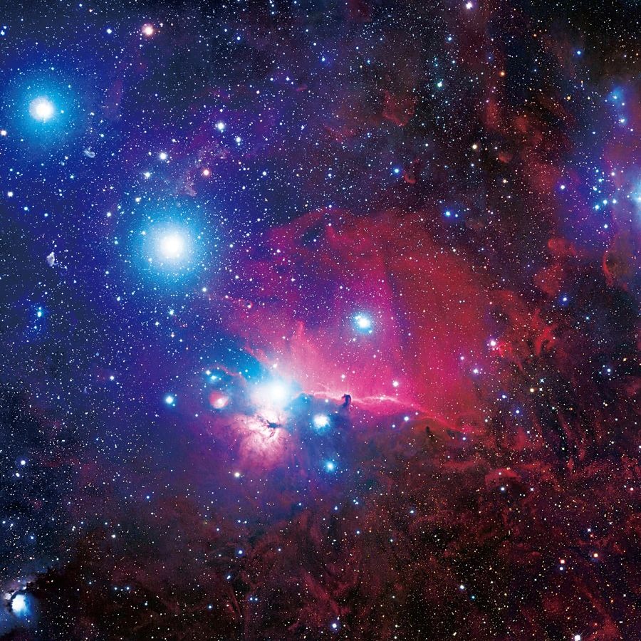 That you can not give cats