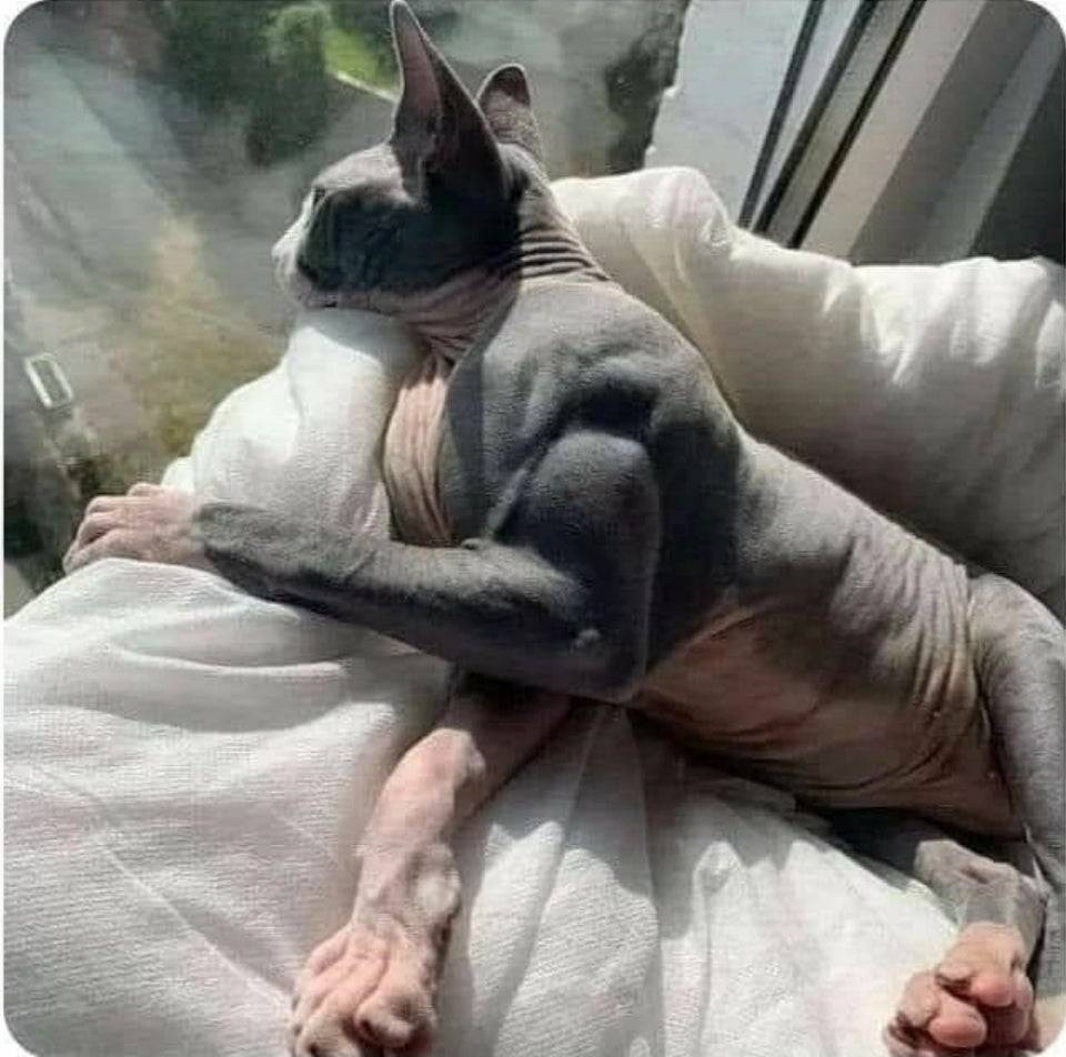 Diamond mosaic GLE60005