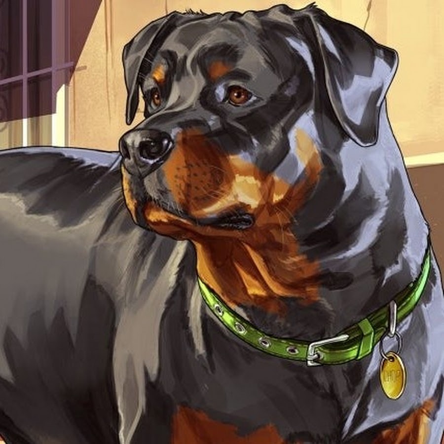 Yana Koshkina Security