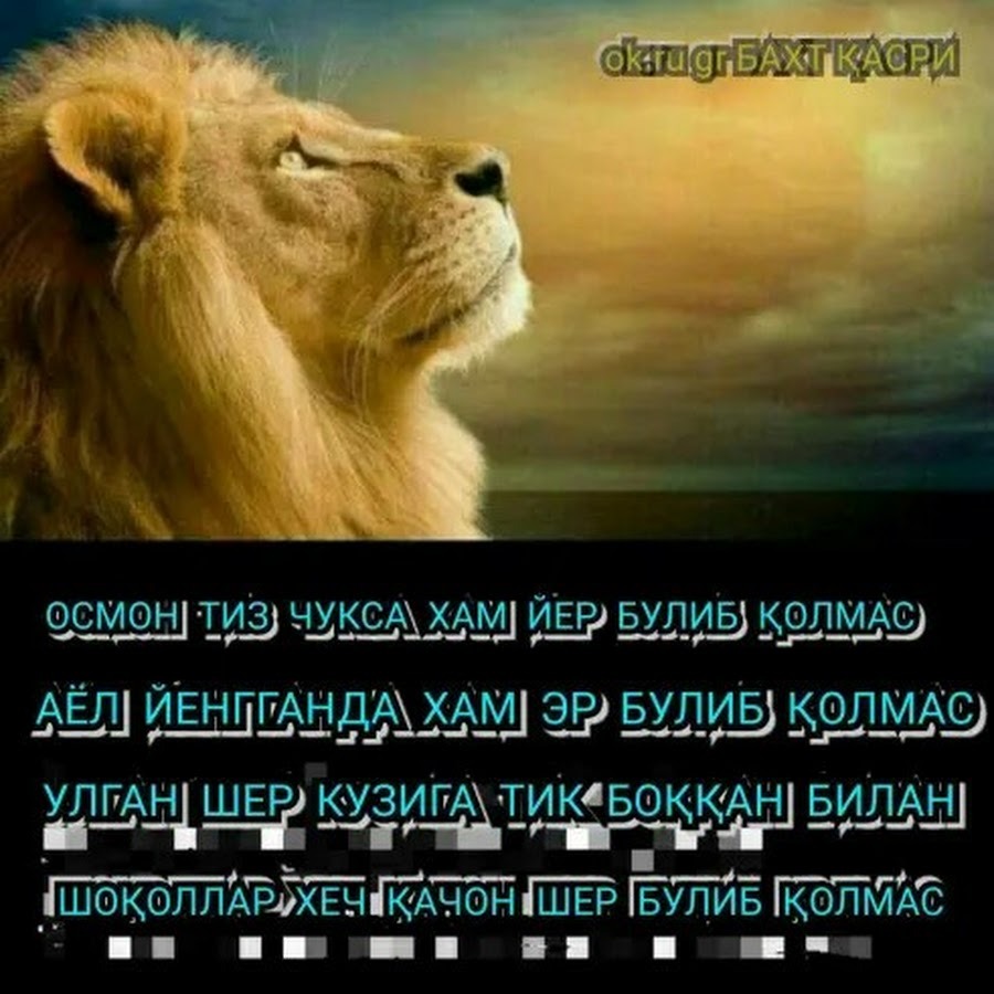 Genshin Impact dishes