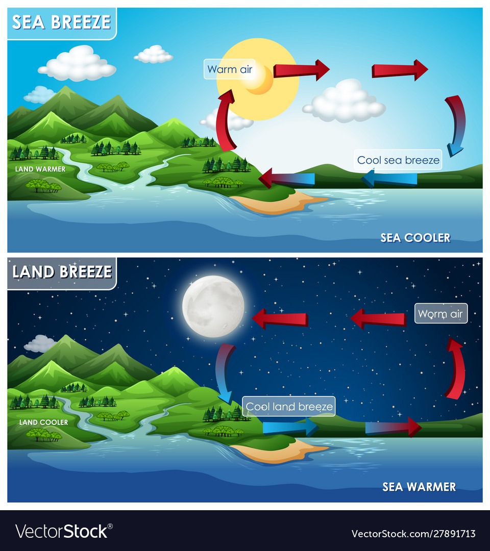 Infographics Sea Breeze