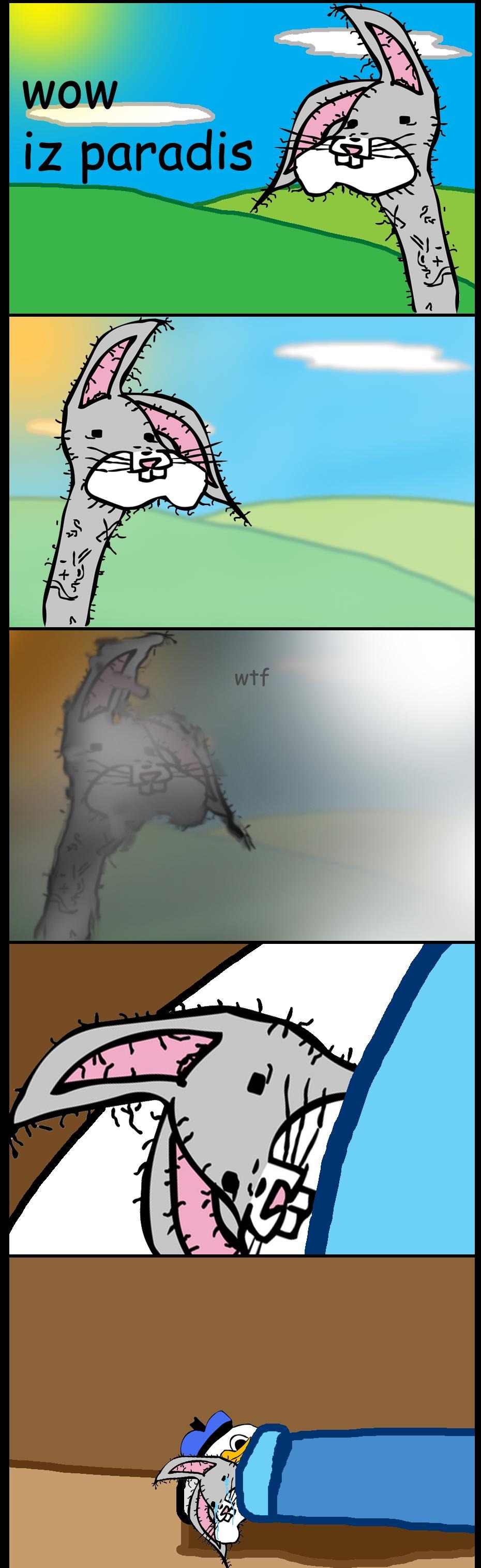 Text in English grade 2 for reading with tasks