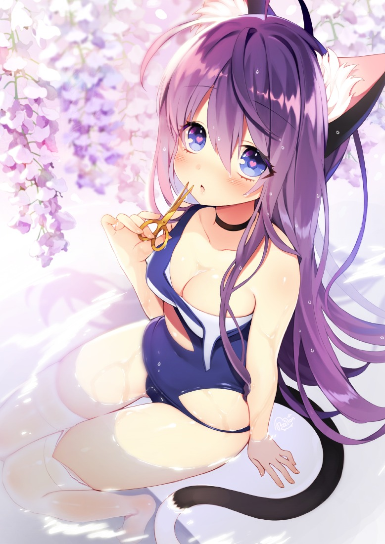 NEKO ECHCHI