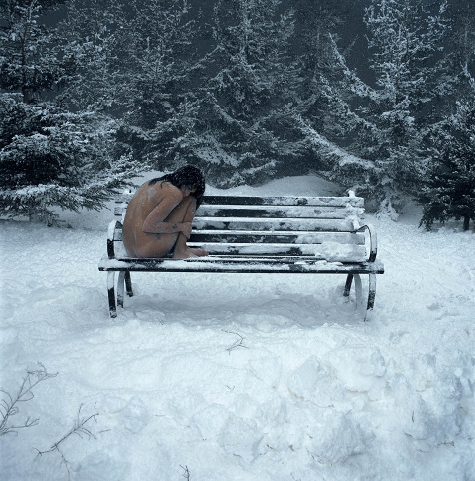 The bench in winter