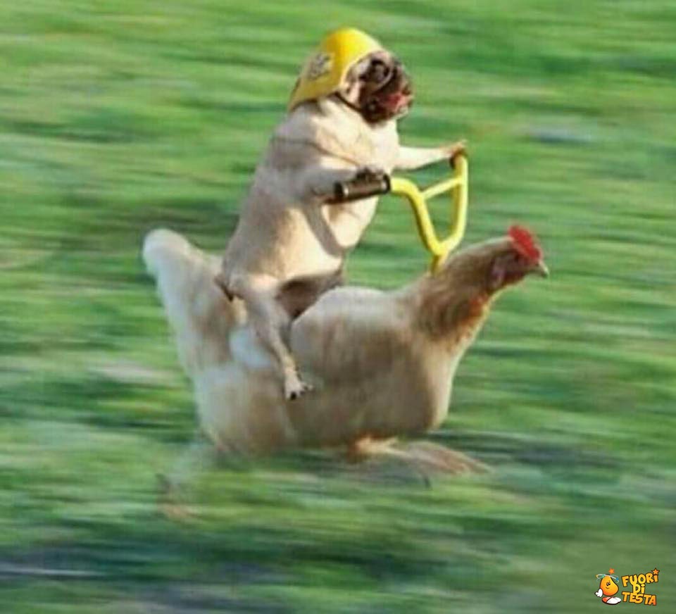 Joinity of men and women