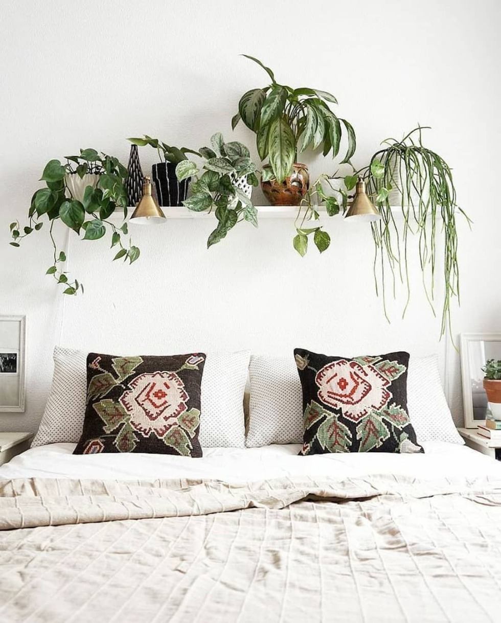 Comic book about the gall bladder