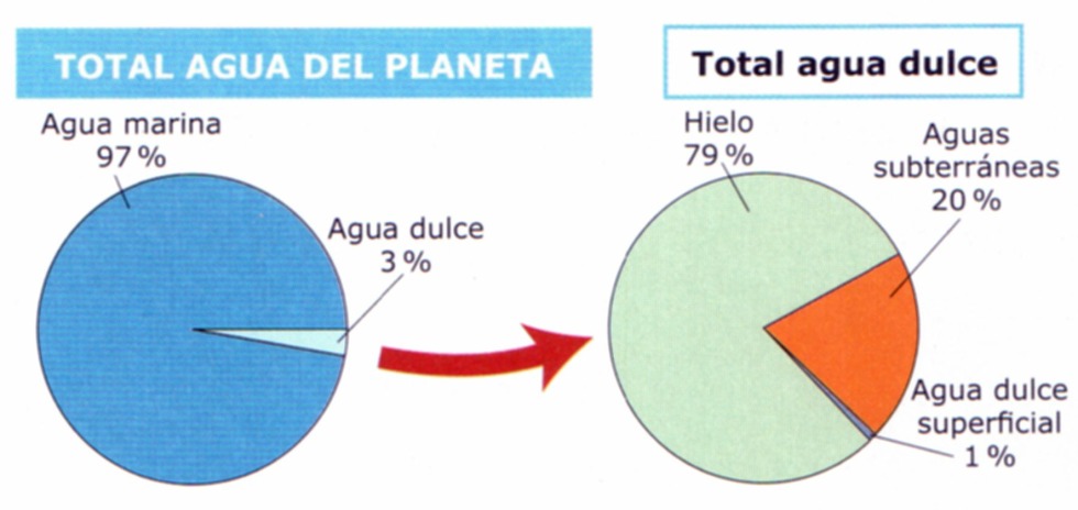 Pure water infographics
