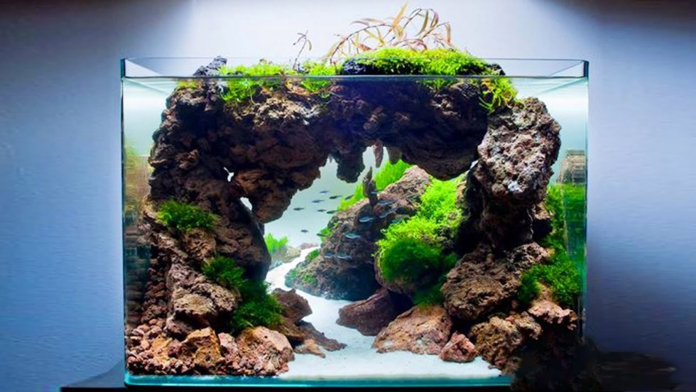 Microelements in water