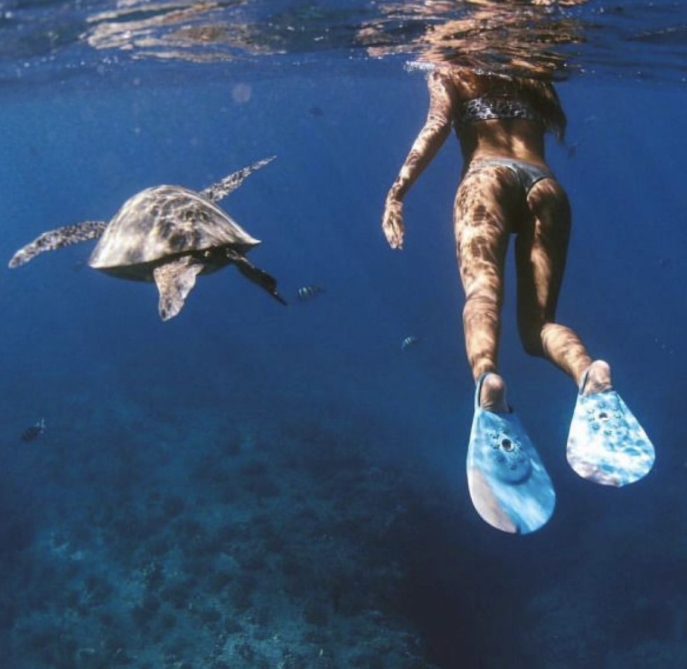 Aquarium Akvaskep with stones