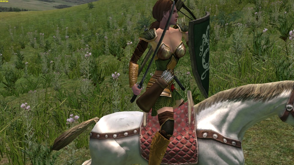 Mount and Blade Warband Tesak