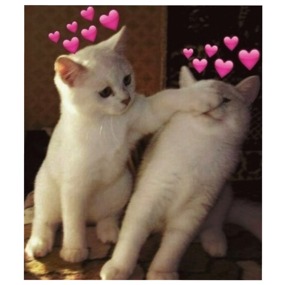 Cute cats with love inscriptions