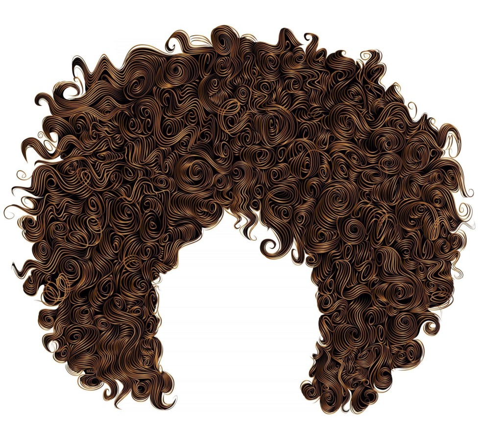 Girl with curly hair Vector