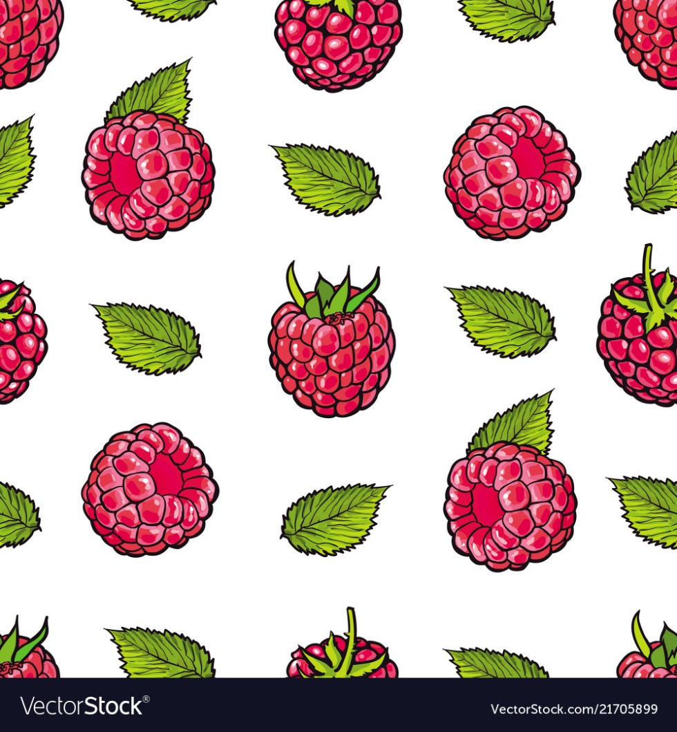 Stylization of berries raspberries
