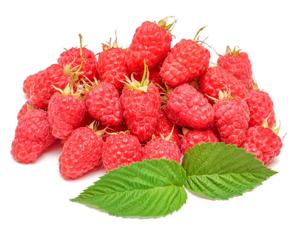 Raspberry on a white background