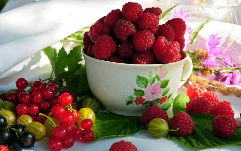 Summer fruits of berries