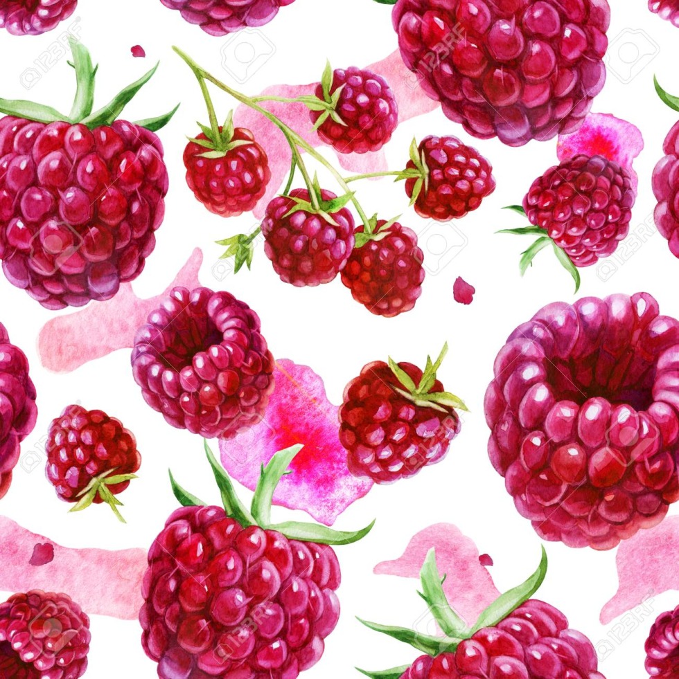 Raspberry Berries Pattern