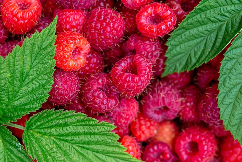 Raspberries