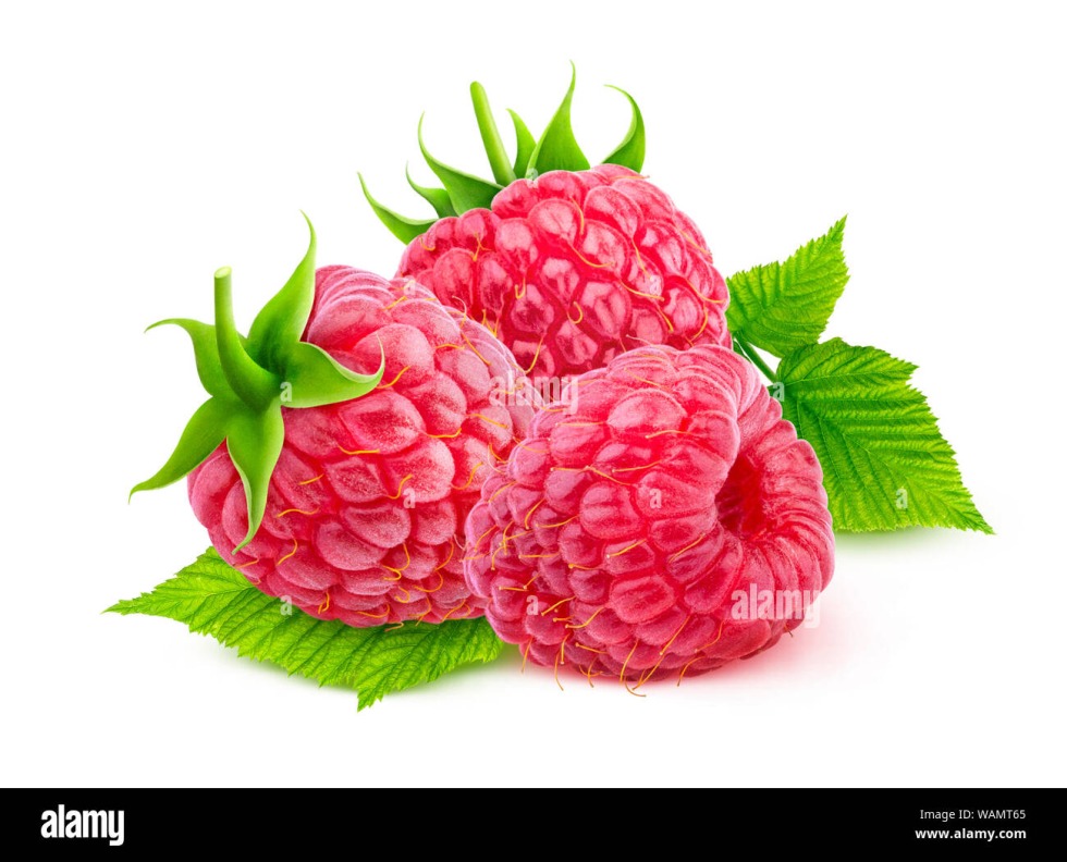 Raspberry isolated