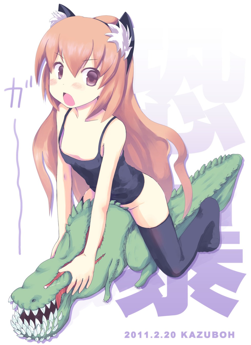 Toradora no Erohon Toradora adult life