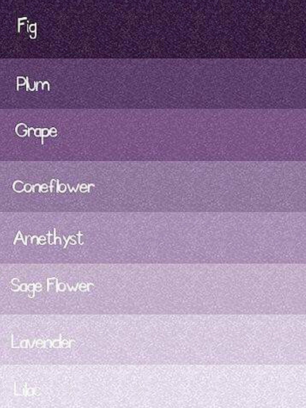 Names of plant flowers