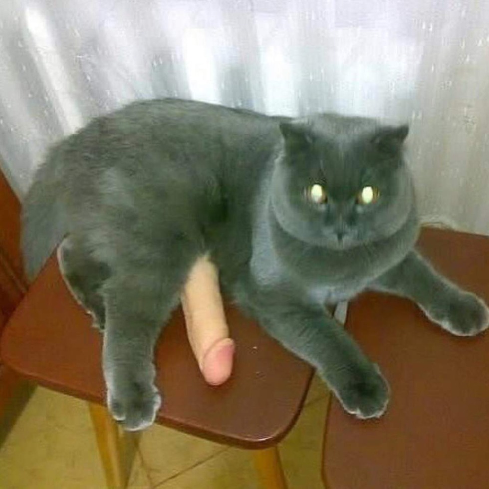 Game about succubus girl