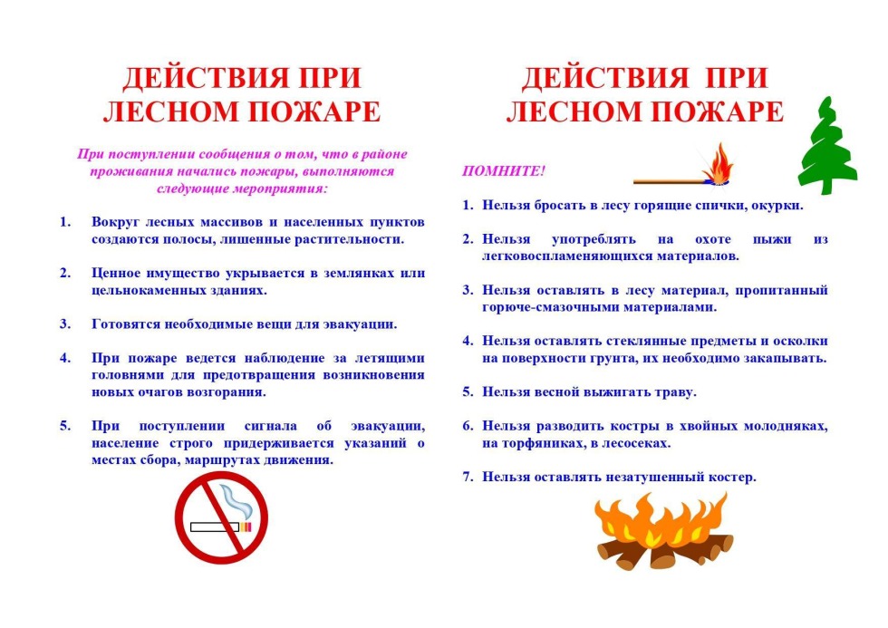 Forest fire algorithm