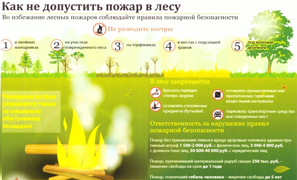 Fire safety Memo Forest Fires