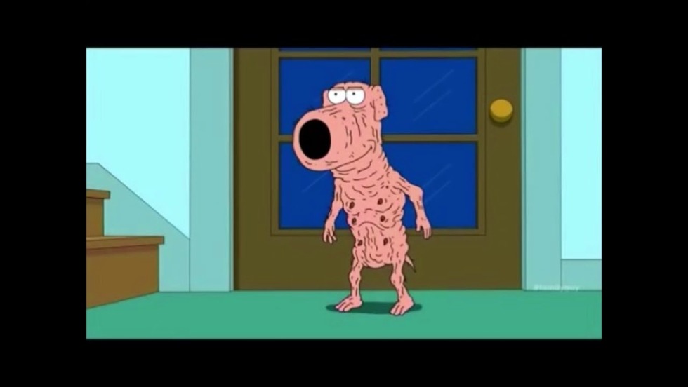 Gryffins Brian without wool