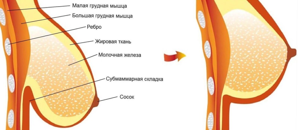 Prefix von in German surnames