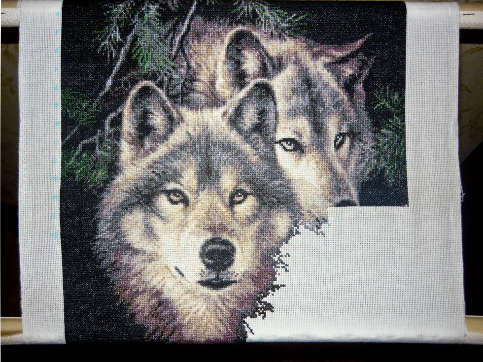 Golden Fleece Orange river