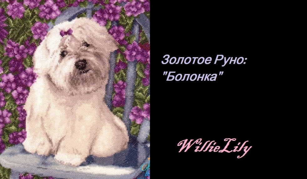 Glyphs of King Solomon