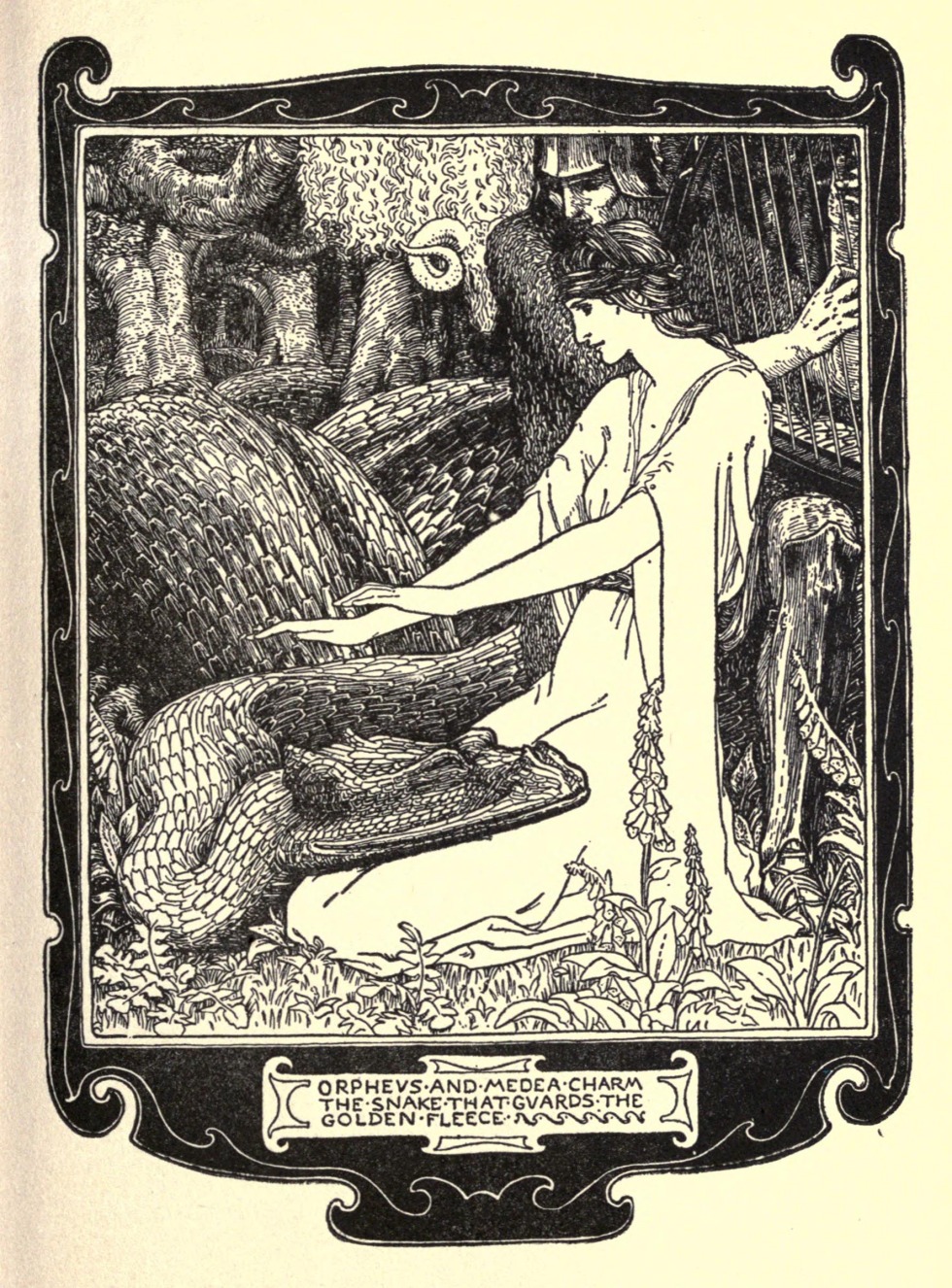 Golden Fleece Jason and Argonauts