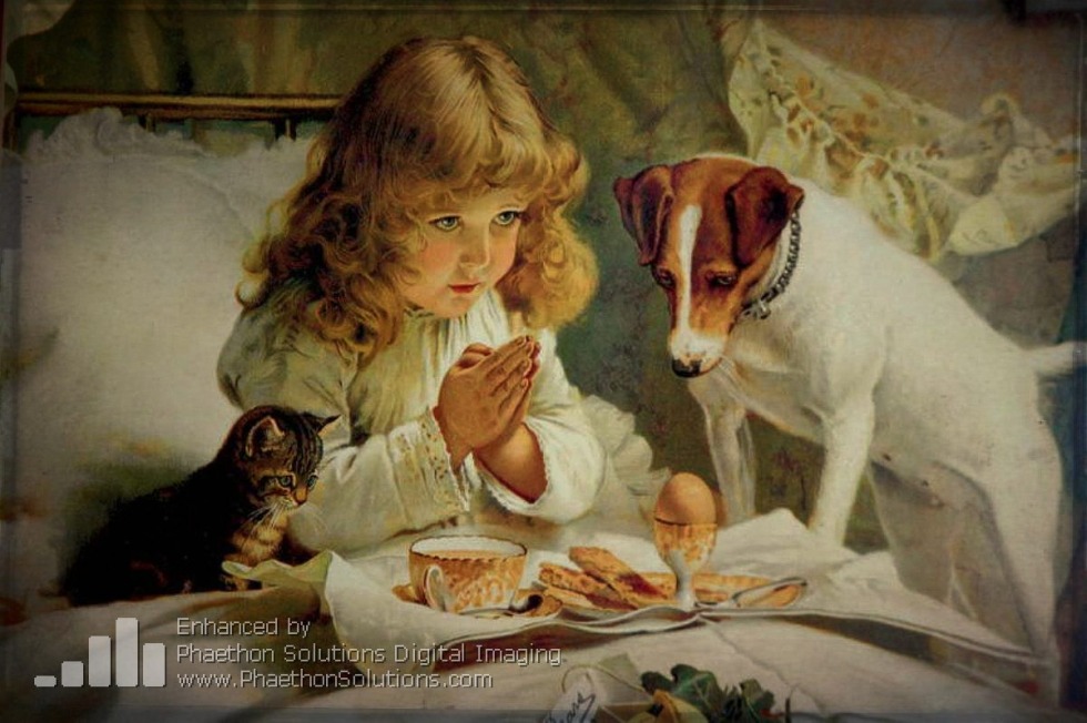 Golden Fleeconum Cross embroidery sets