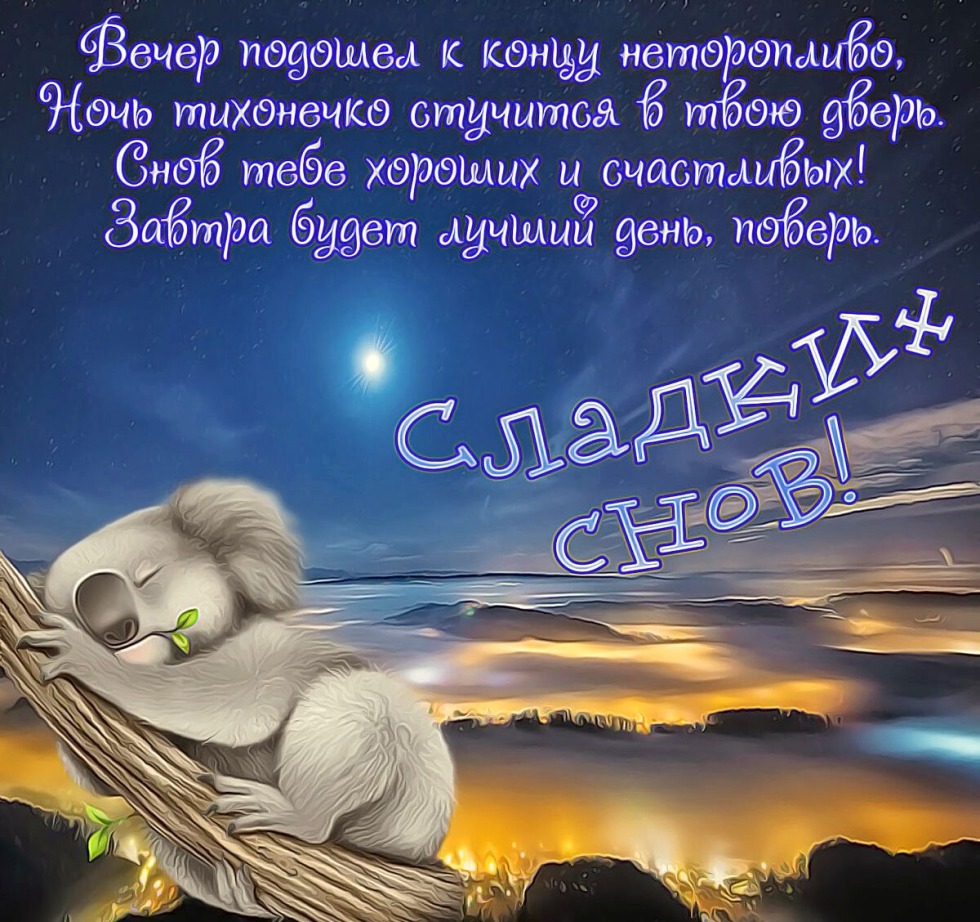 Big Brother 0.13.0.007 Ann