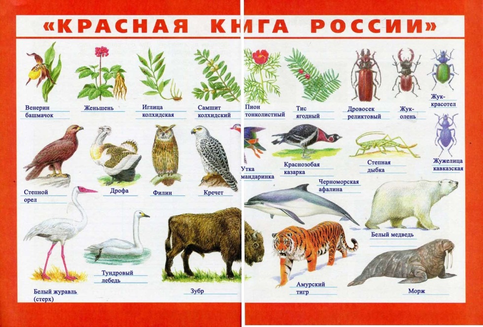 Prince Andrew and Virginia Roberts