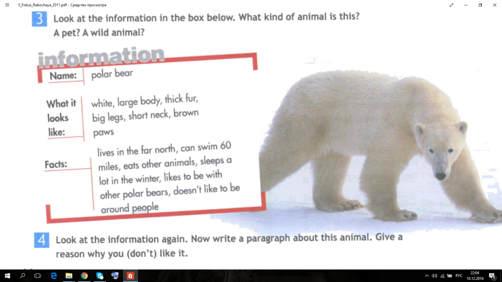 Shark Attack: The Page Winter Story