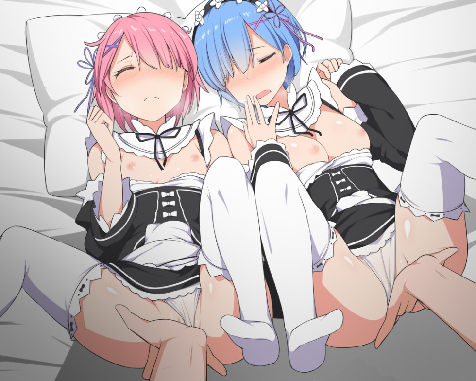 Dakimakura Hentai Rem and Ram