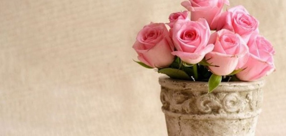 Marina Brass @marinabrass