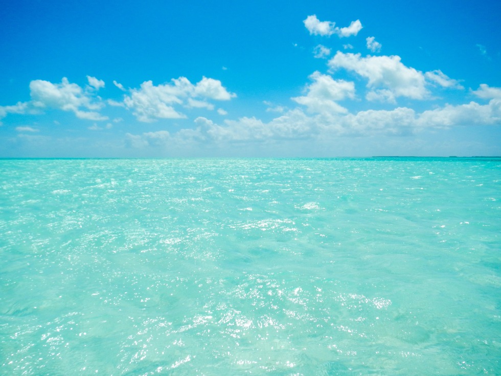 Happy Birthday Marina