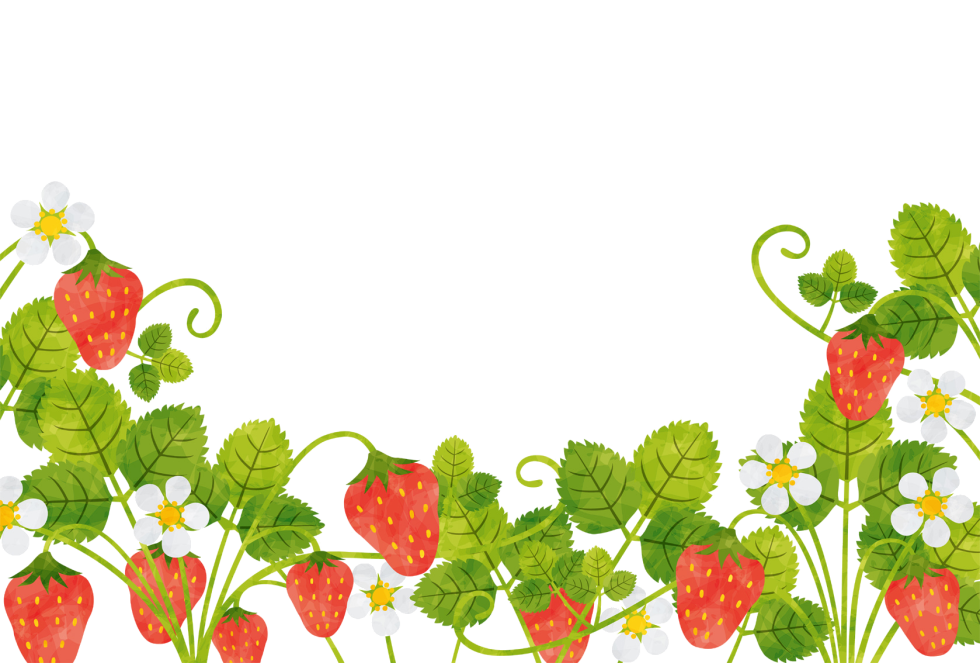 Vanessa Hajens ablunt holidays