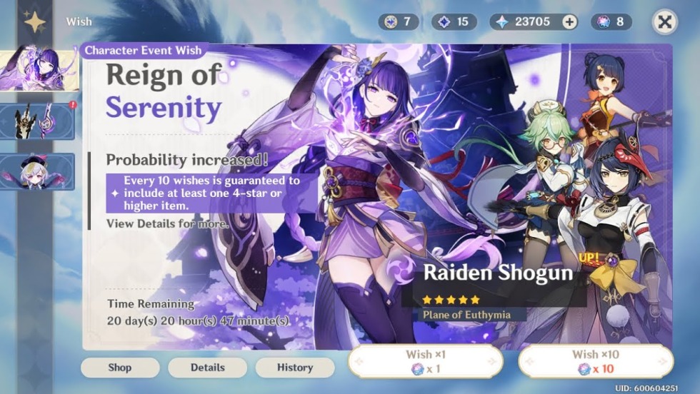 Banner Raiden Genshin