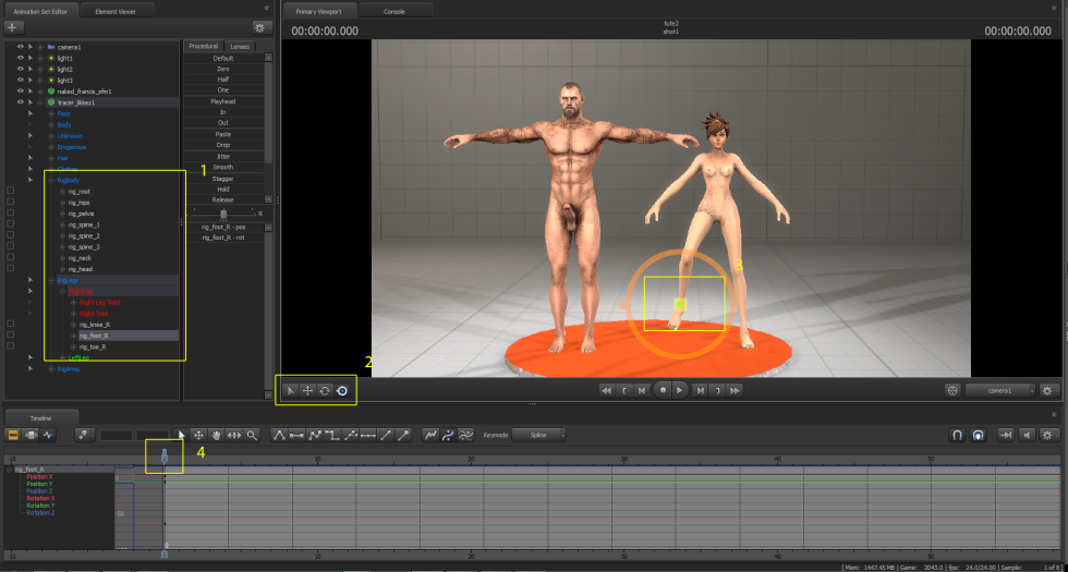 Anatomy model Zbrash