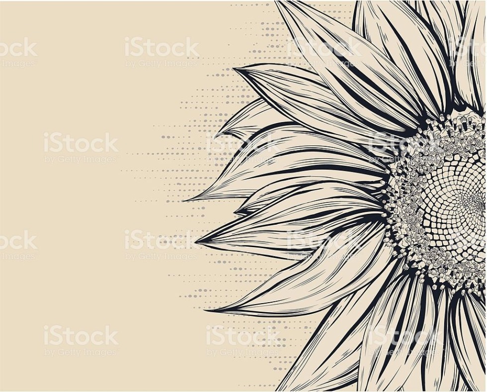 Funny birthday greetings