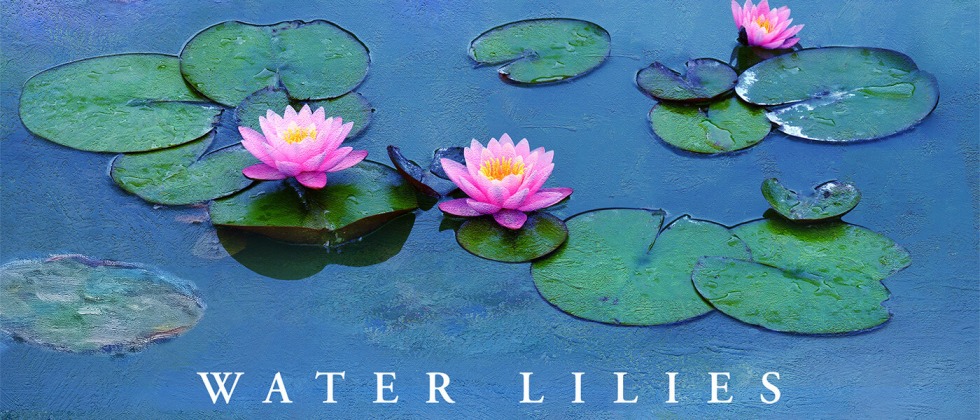 Yellow nirvana water lilies Claude Monet