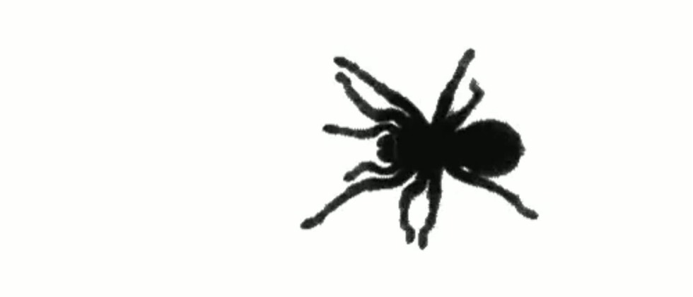 Spider crawls on the screen