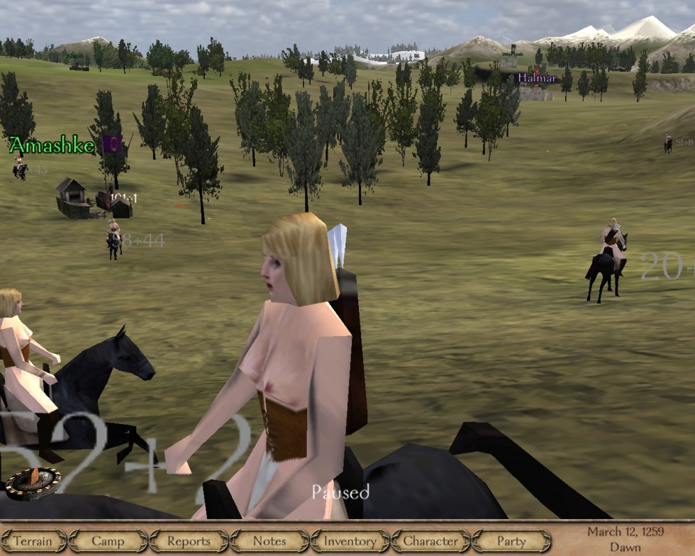 The age of the character Mount and Blade 2