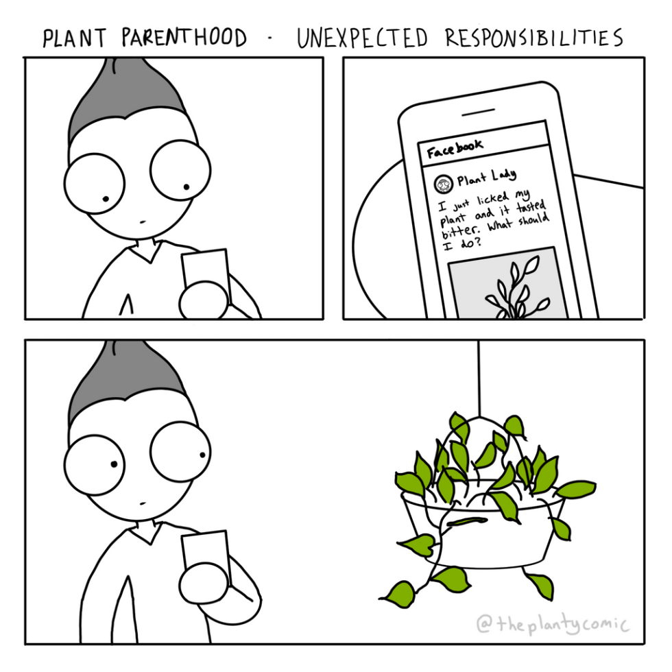 IDIOMS ABOUT SUCCESS