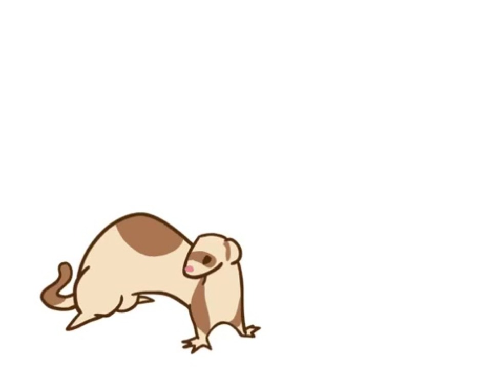 Animated ferret