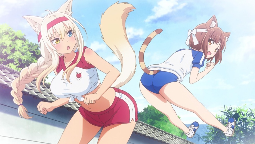 Anime is a member of a coconut